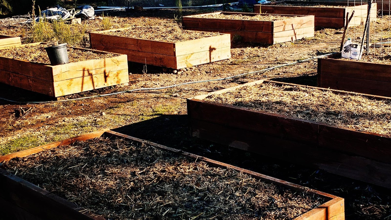 Garden beds